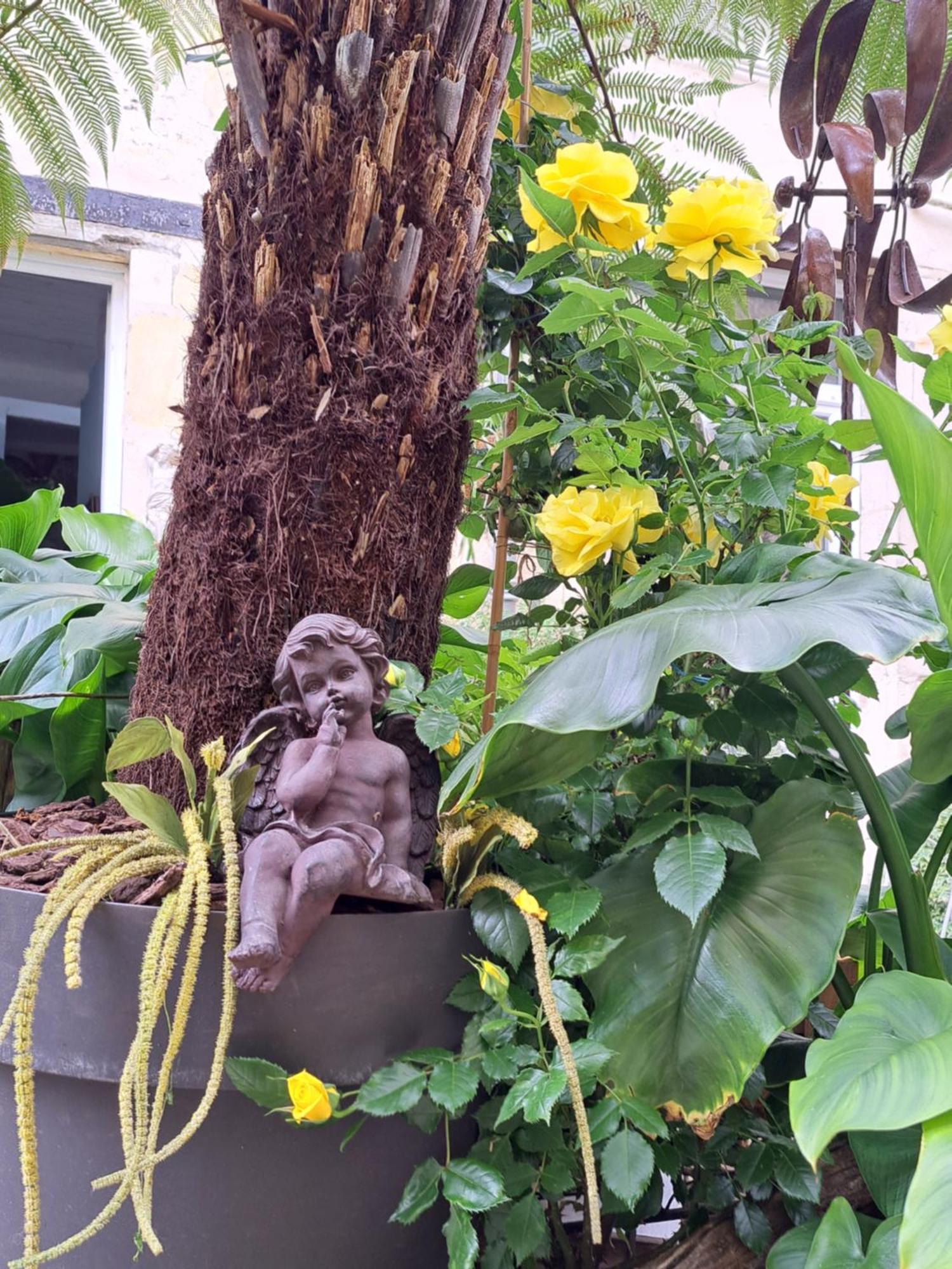 Terra-Crystal Apartment โรชฟอร์ ภายนอก รูปภาพ